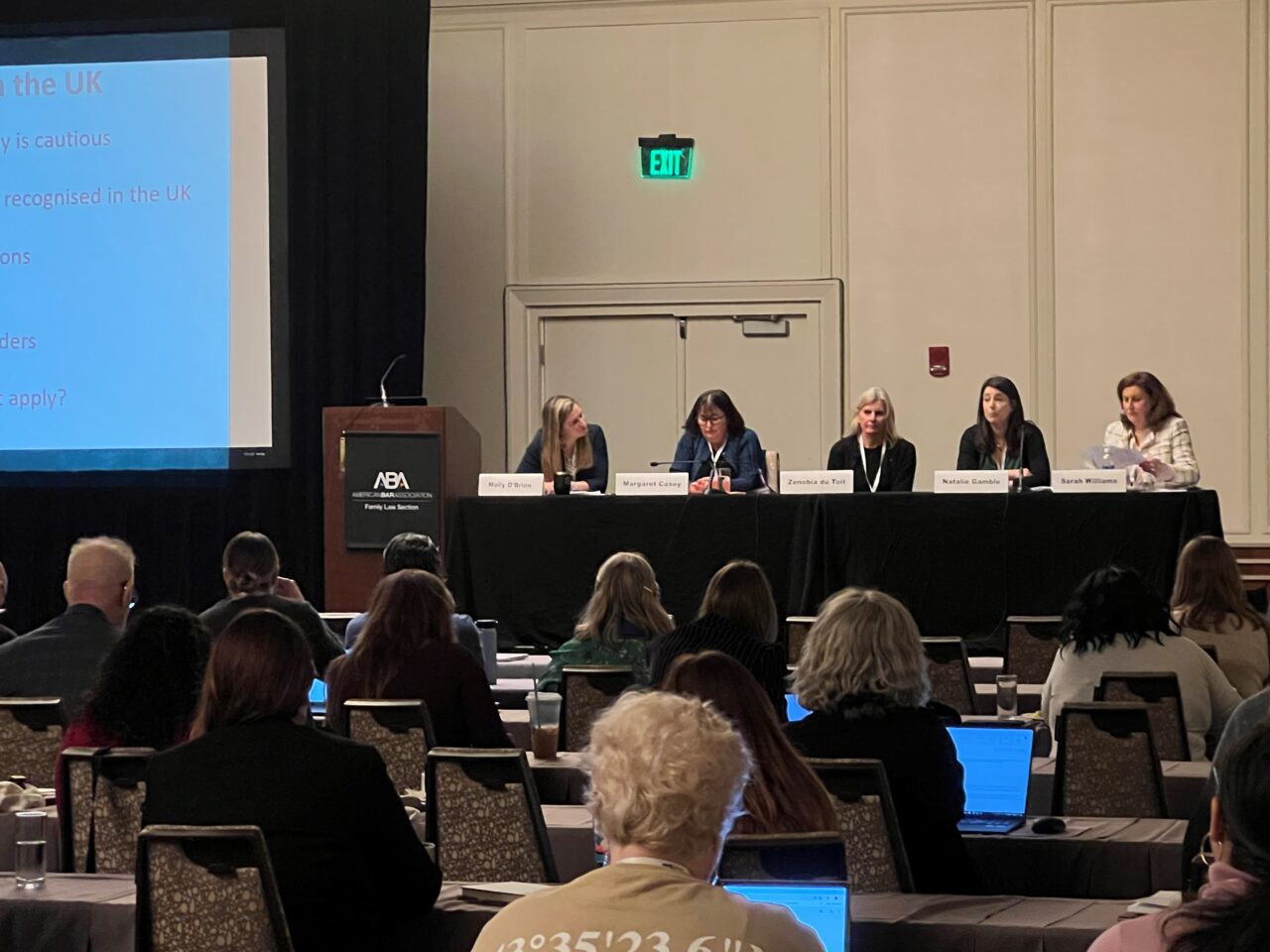 Natalie speaks at the American Bar Association conference about