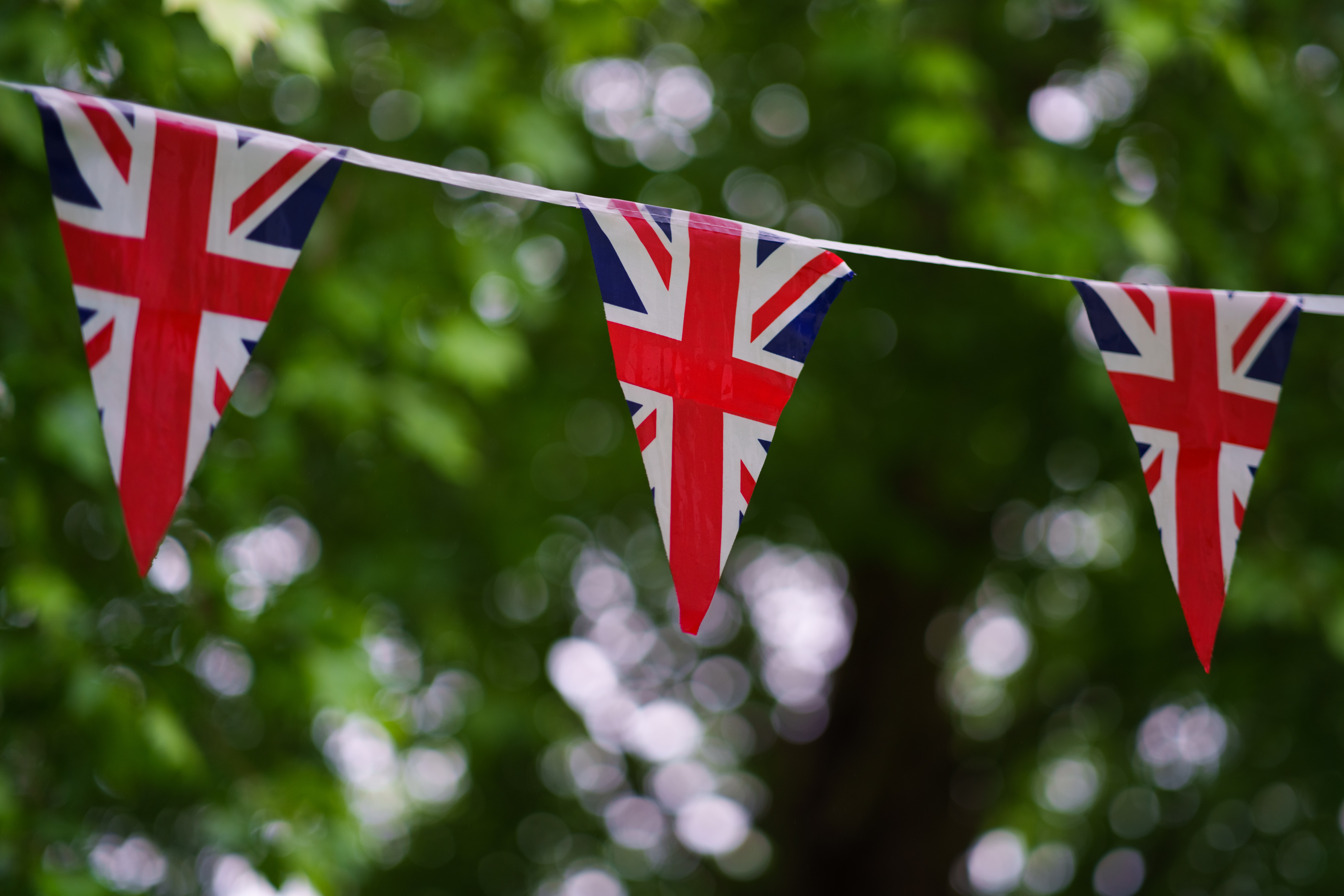 UK-flags-on-tree